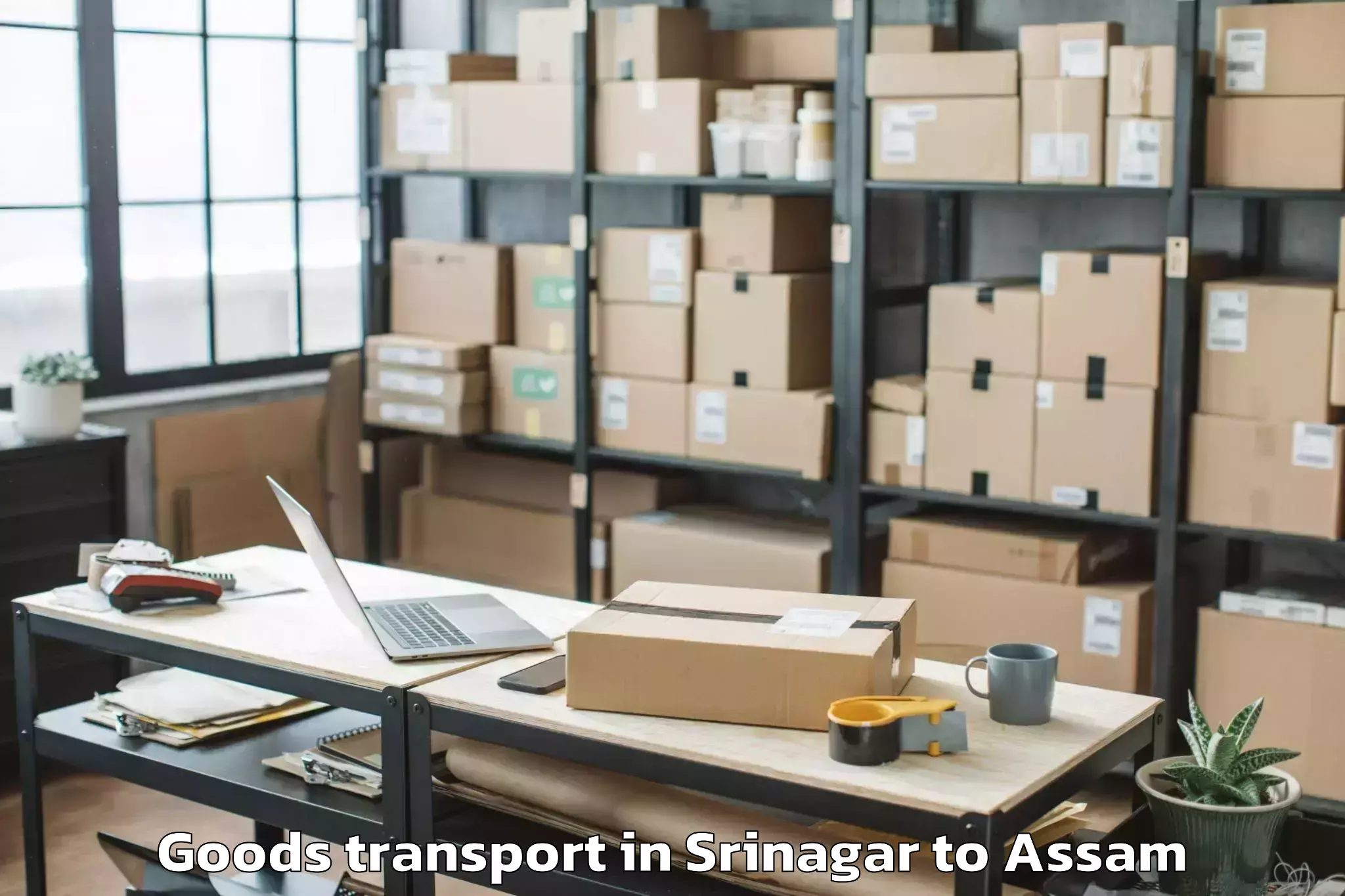 Srinagar to Silchar Goods Transport